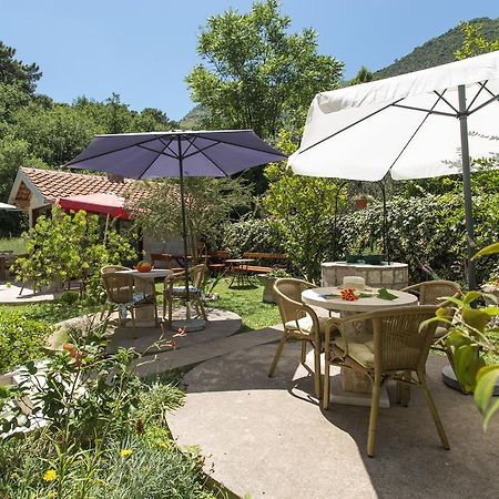Djurovic Apartments Montenegro Kotor Zewnętrze zdjęcie
