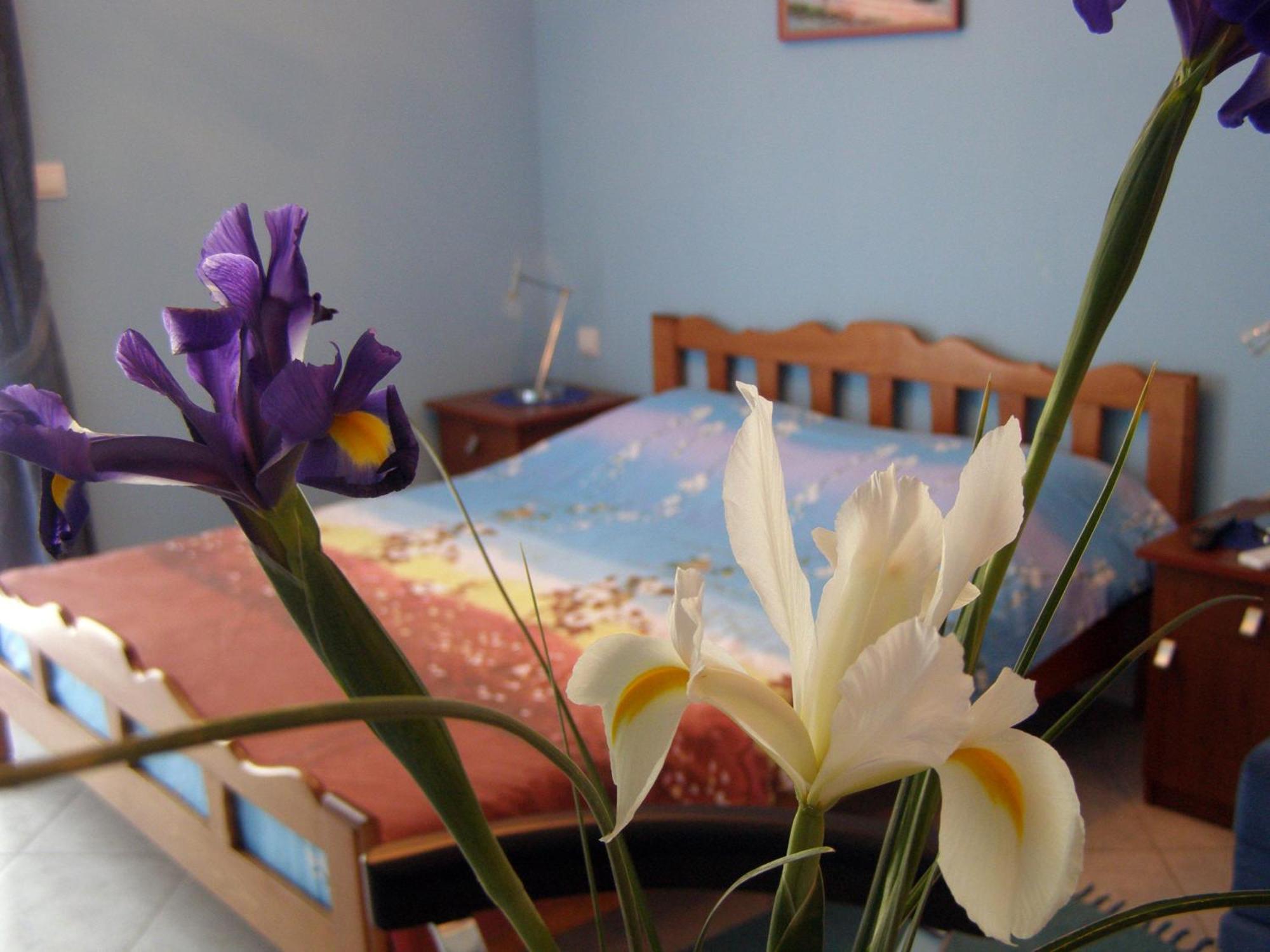 Djurovic Apartments Montenegro Kotor Zewnętrze zdjęcie